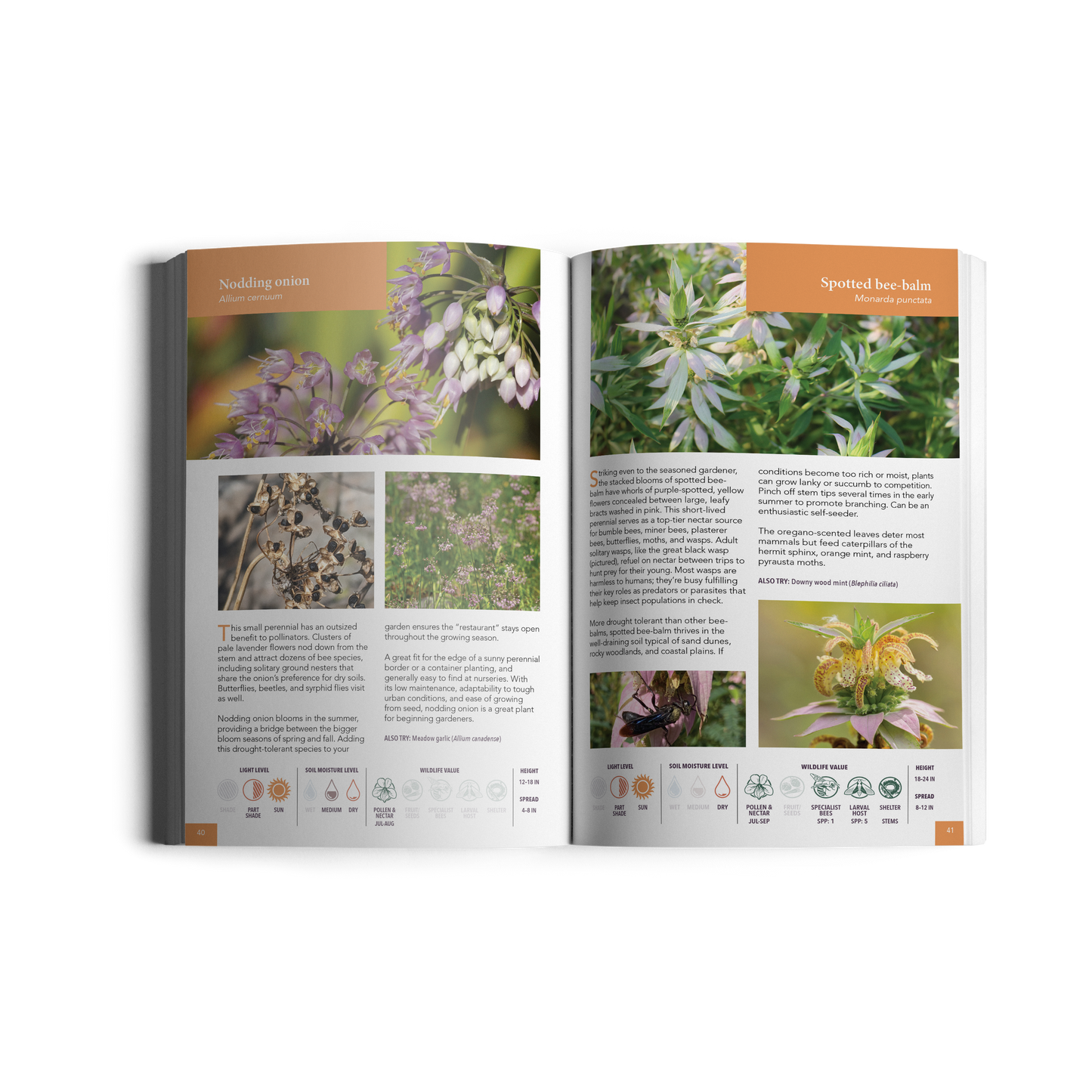 Making Habitat at Home: Native Plants for the Northeast