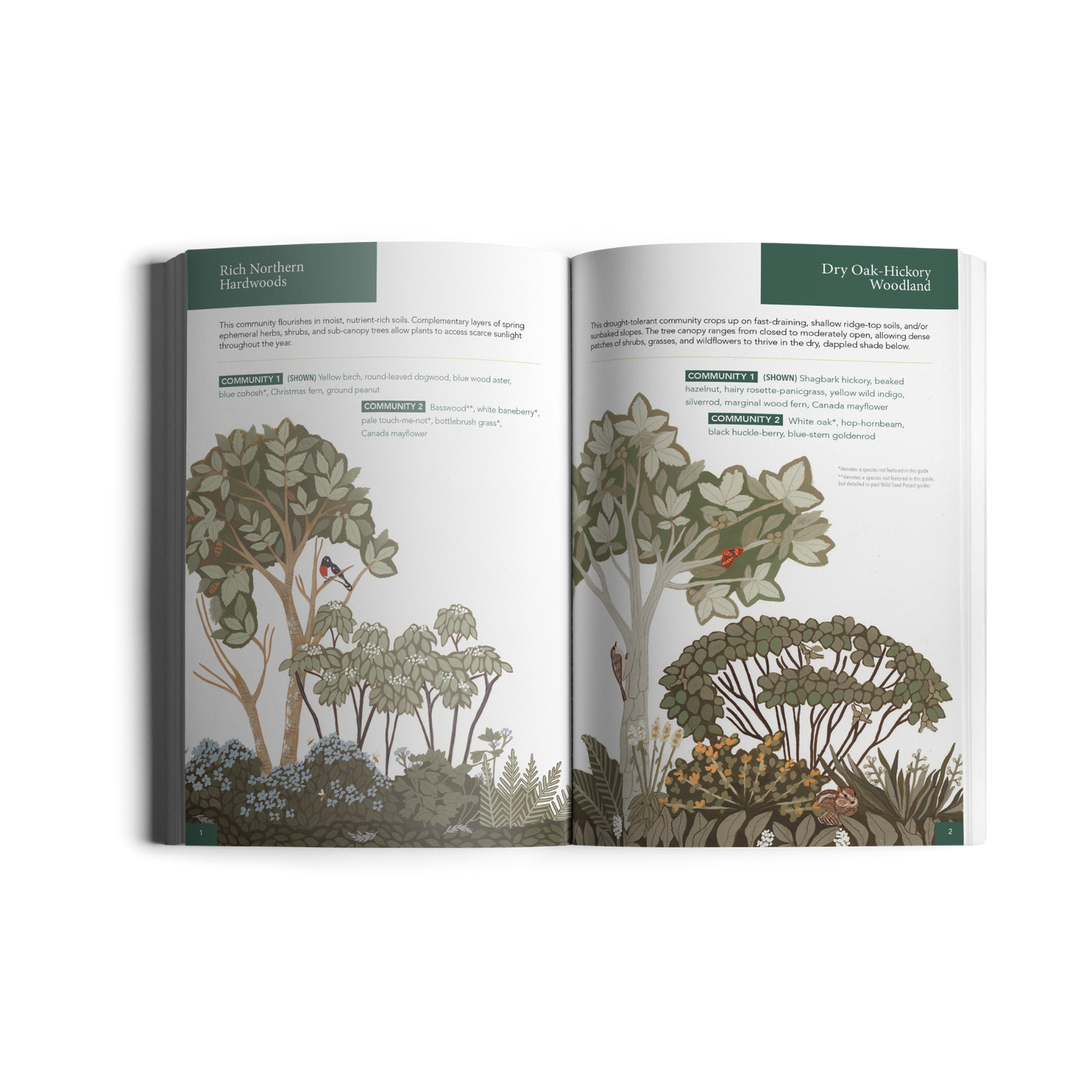 Planting for Climate Resilience in Northeast Landscapes: A Wild Seed Project Guide