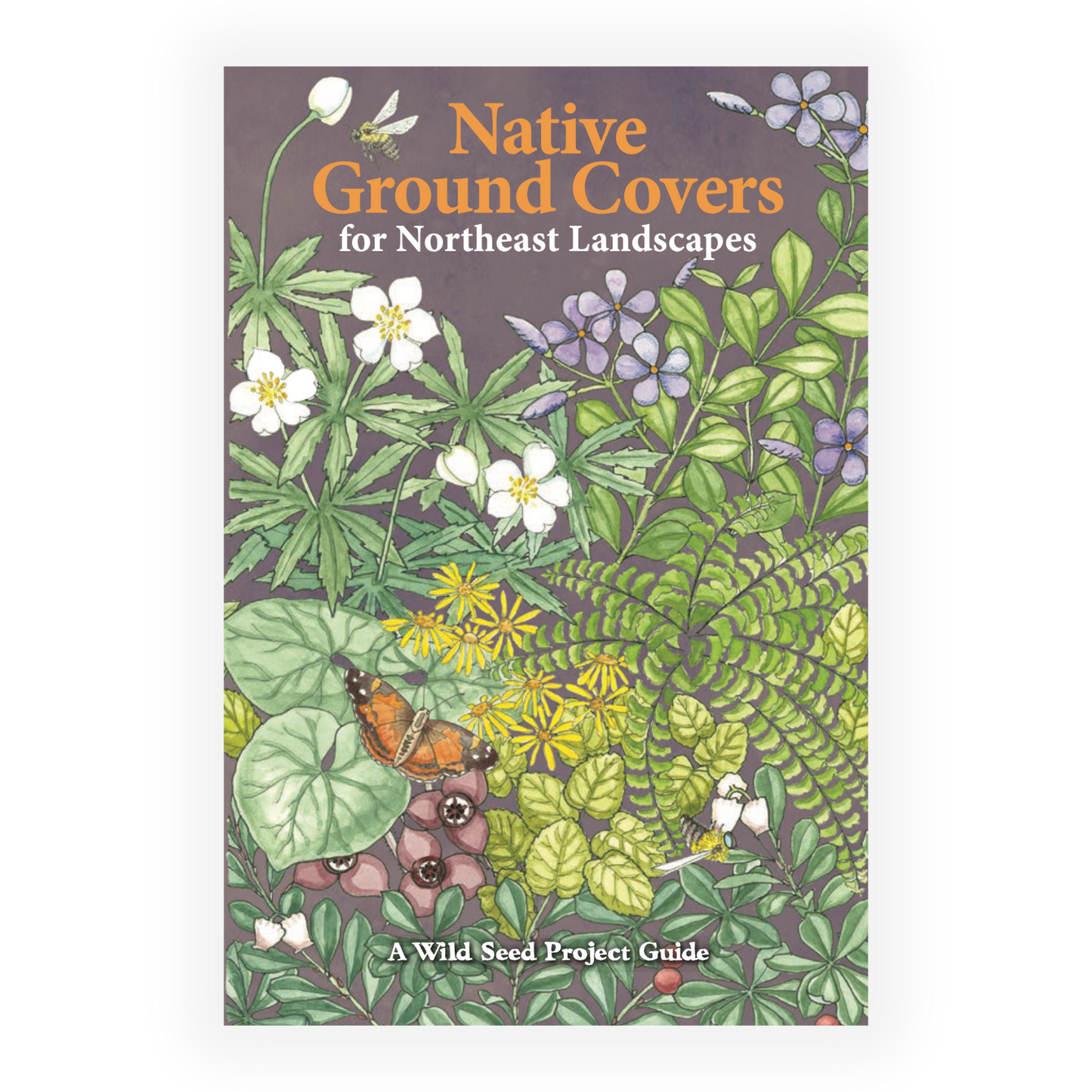 Native Ground Covers for Northeast Landscapes: A Wild Seed Project Guide