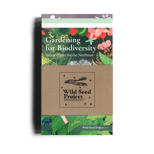 Native Plant Guide Gift Set