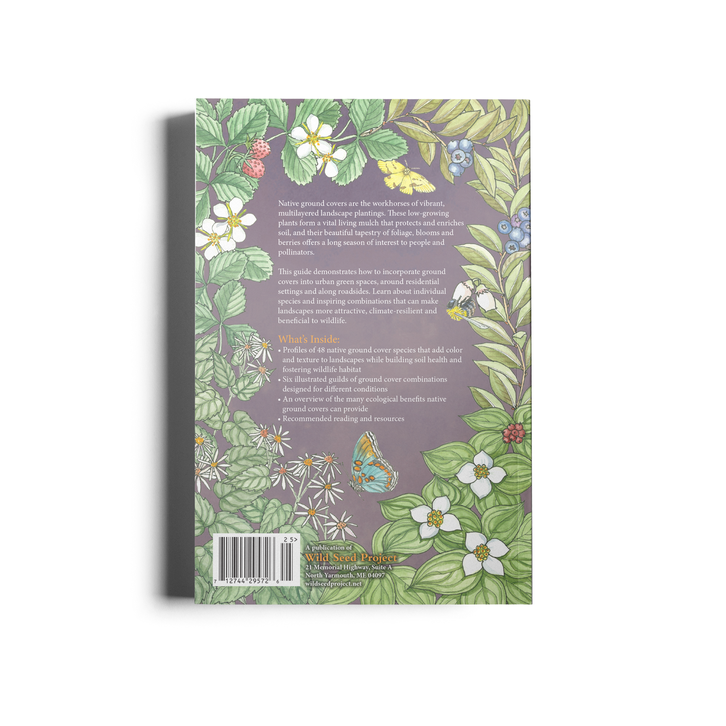 Native Ground Covers for Northeast Landscapes: A Wild Seed Project Guide
