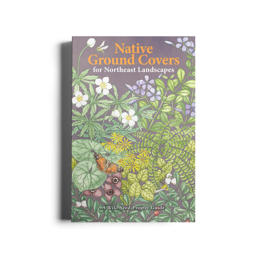 Native Ground Covers for Northeast Landscapes: A Wild Seed Project Guide