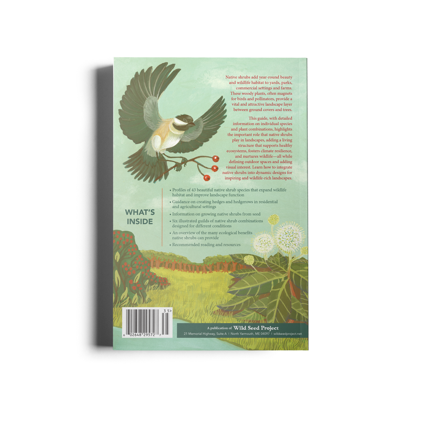 Native Shrubs for Northeast Landscapes: A Wild Seed Project Guide