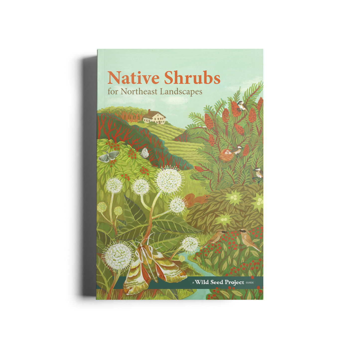 Native Shrubs for Northeast Landscapes: A Wild Seed Project Guide