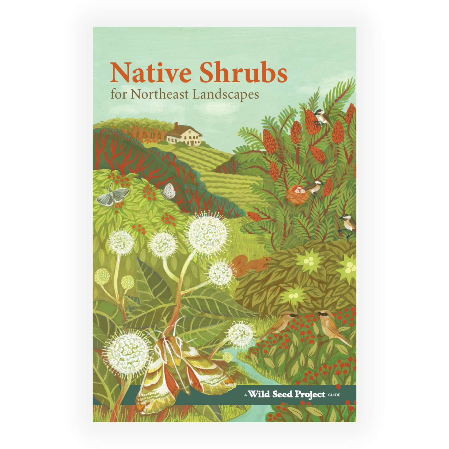 Native Shrubs for Northeast Landscapes: A Wild Seed Project Guide