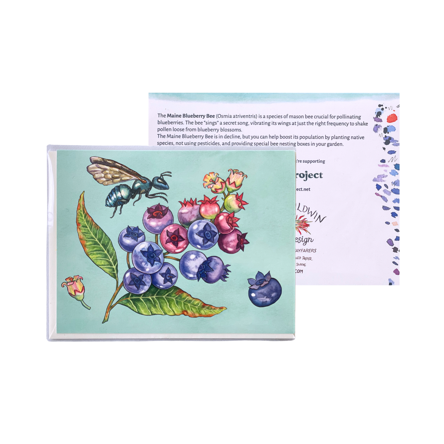 Blueberries and Bee Greeting Card