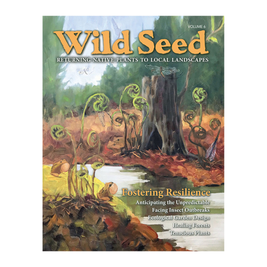 Wild Seed Magazine, Volume 6, 2020