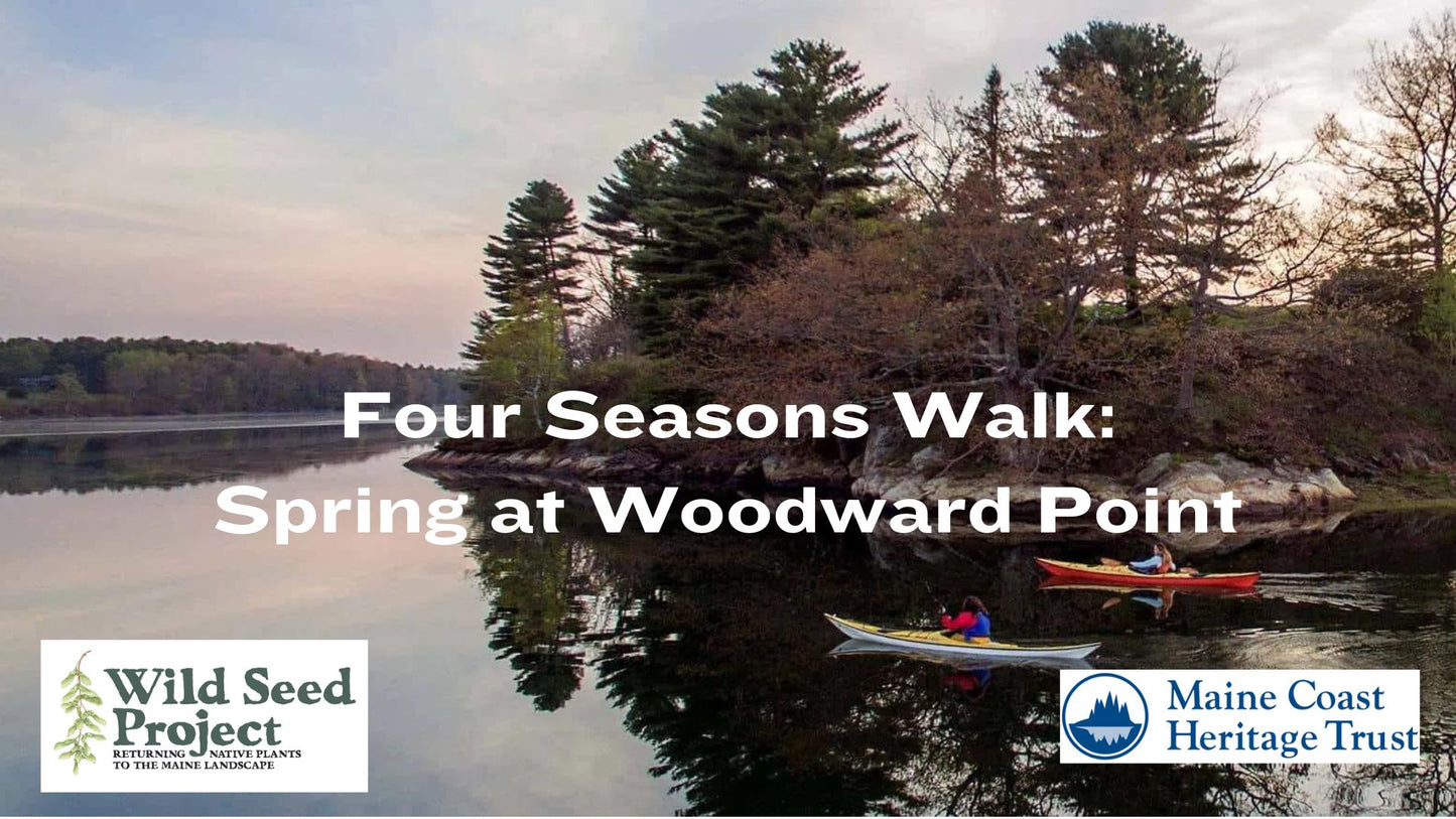 Four Season Walk: Spring Plant Walk at Woodward Point Preserve