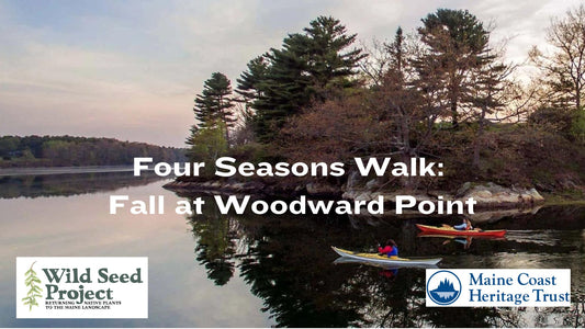 Four Season Walk: Fall Plant Walk at Woodward Point Preserve