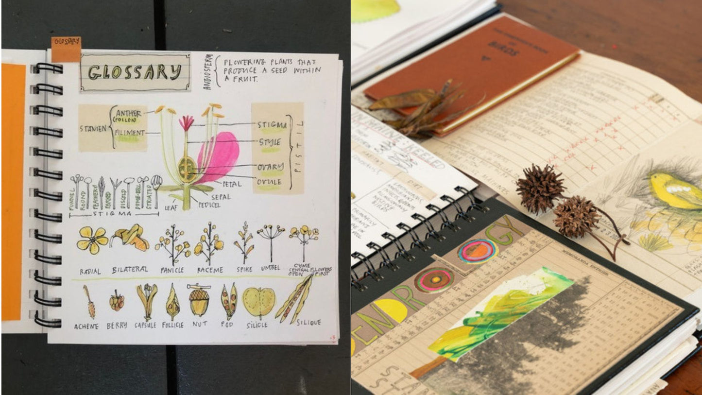 Creative Nature Journaling and Printmaking with Melissa Sweet