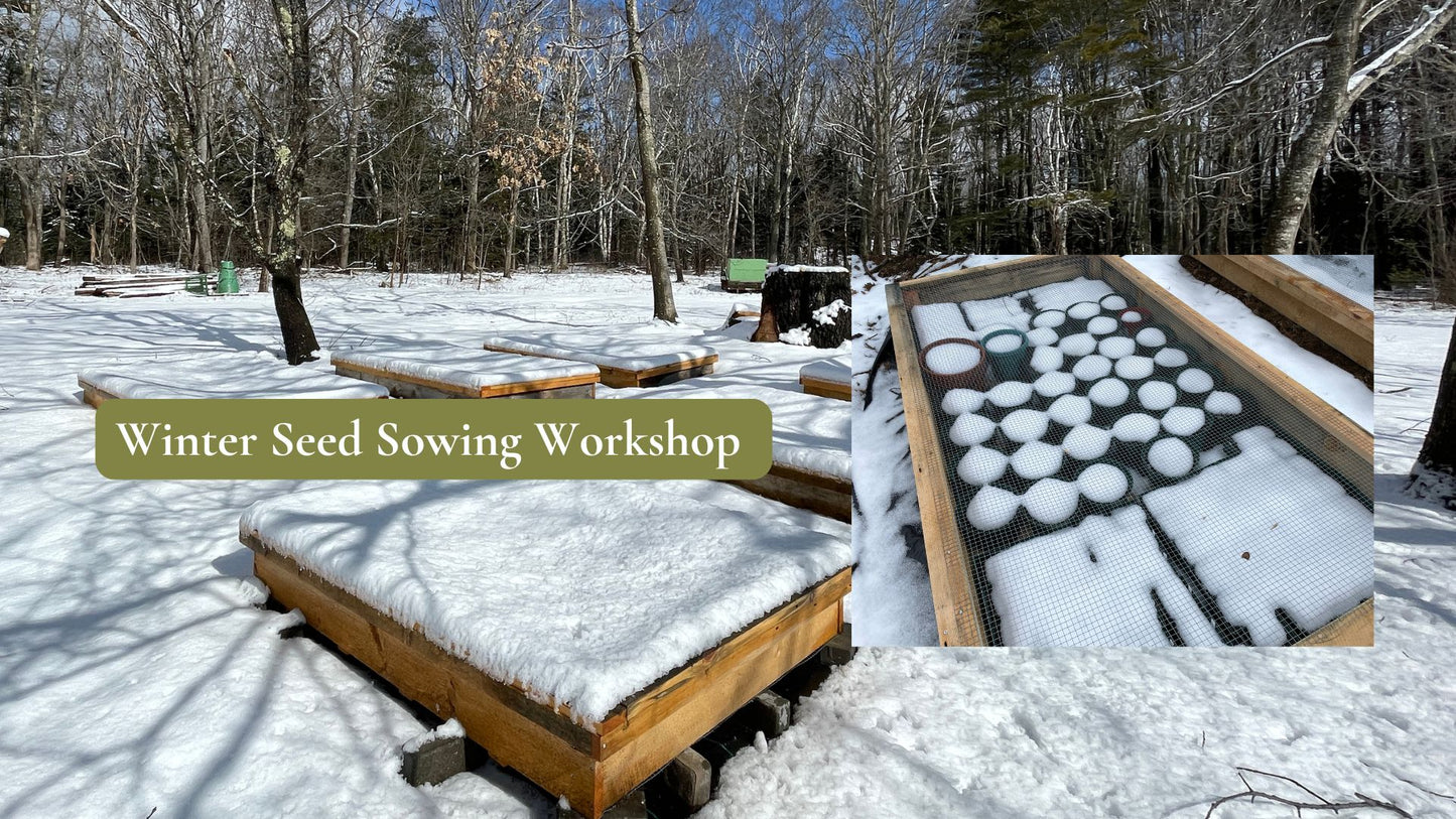 January Winter Seed Sowing Workshop at Turkey Hill Farm 2025