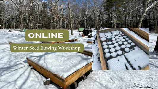 Online Winter Seed Sowing Demonstration 2025