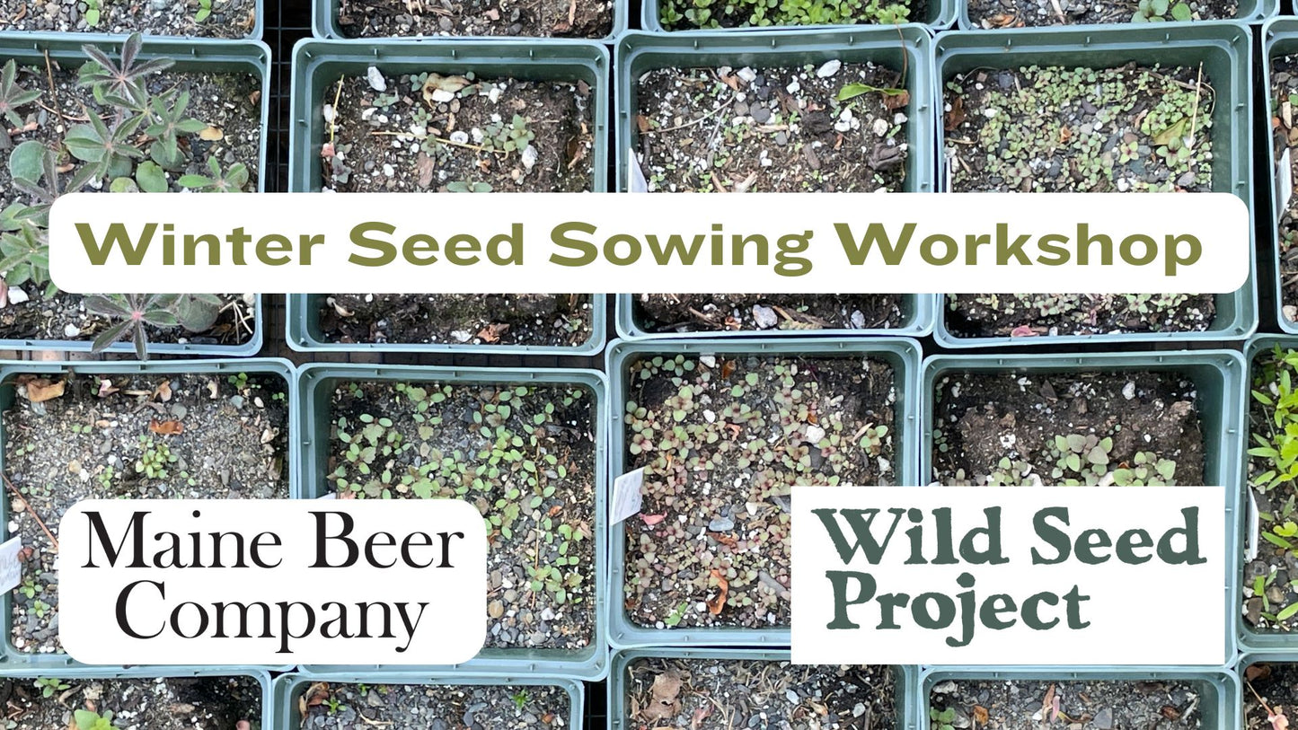 Winter Seed Sowing Workshop with Maine Beer Company