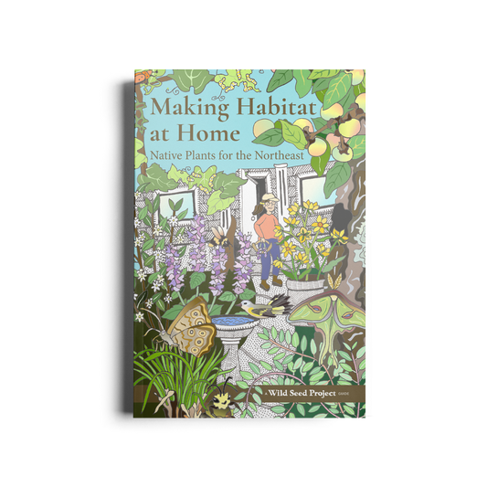 Making Habitat at Home: Native Plants for the Northeast