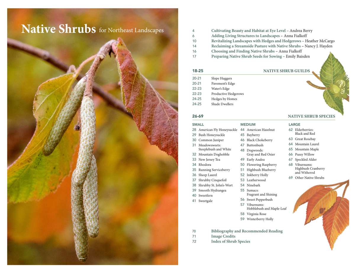 Shrub Guide Native Shrubs for Northeast Landscapes: A Wild Seed Project Guide