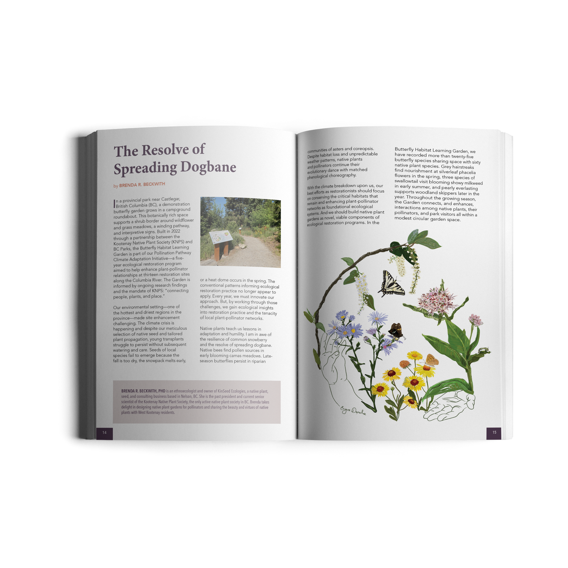 planting seed just by spreading it. Making Habitat at Home: Native Plants for the Northeast – Wild Seed Project