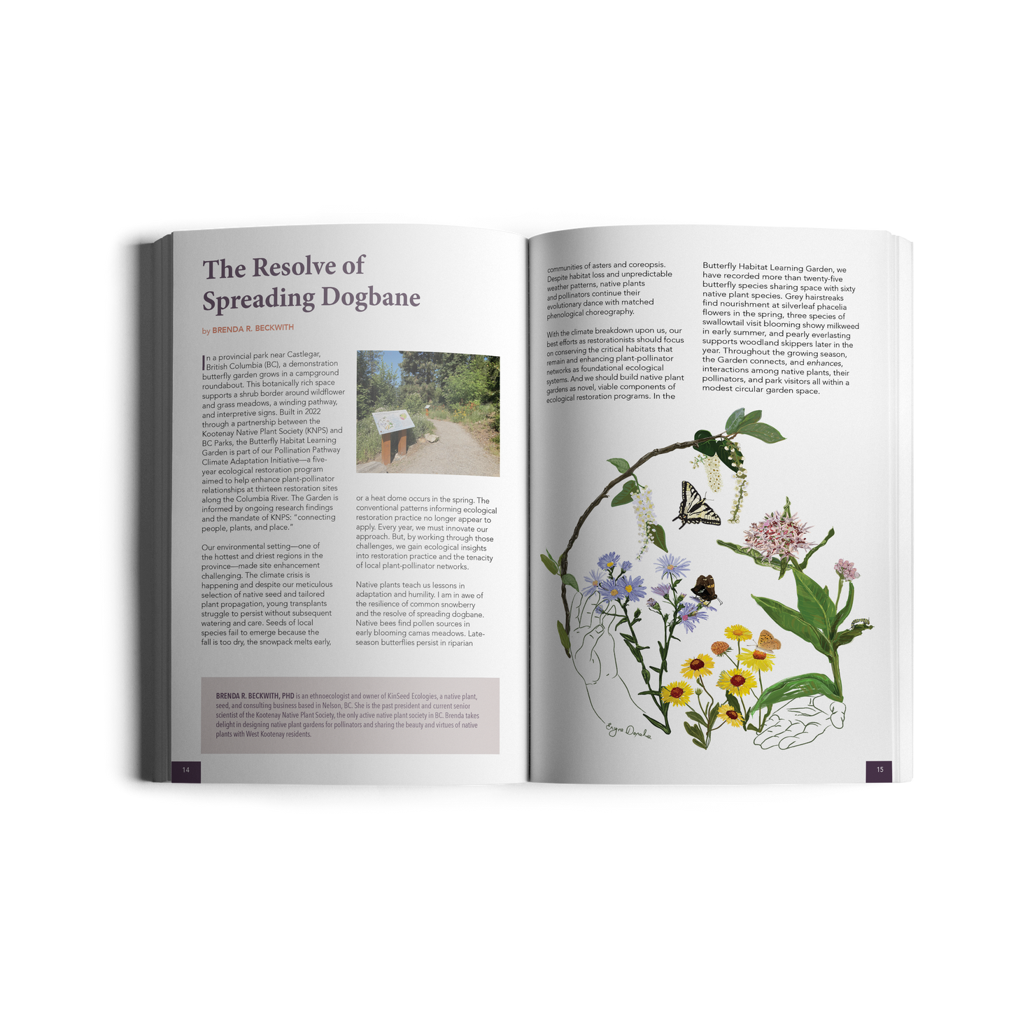 Making Habitat at Home: Native Plants for the Northeast