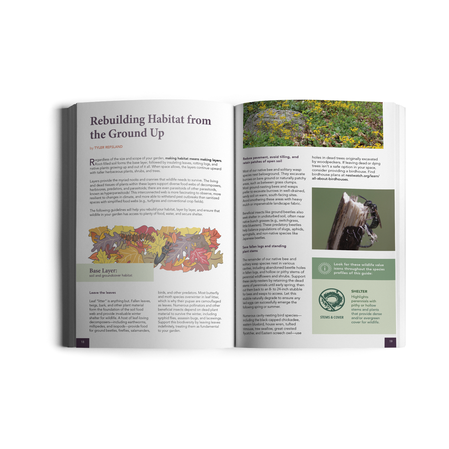 Making Habitat at Home: Native Plants for the Northeast