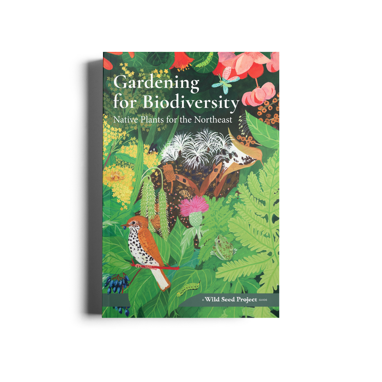 Gardening for Biodiversity: Native Plants for the Northeast