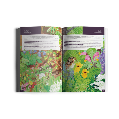 Native Plant Guide Gift Set