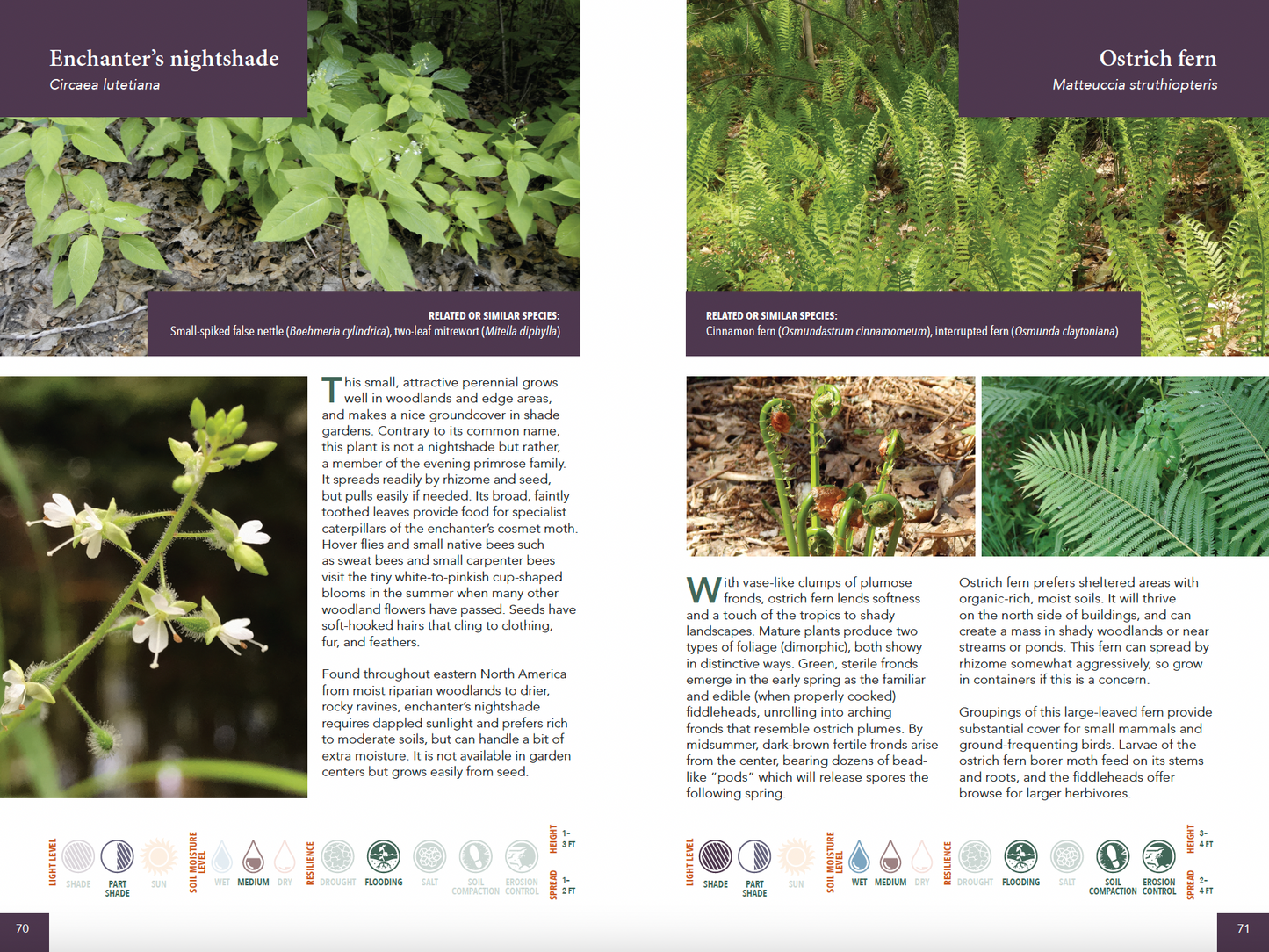 Planting for Climate Resilience in Northeast Landscapes: A Wild Seed Project Guide