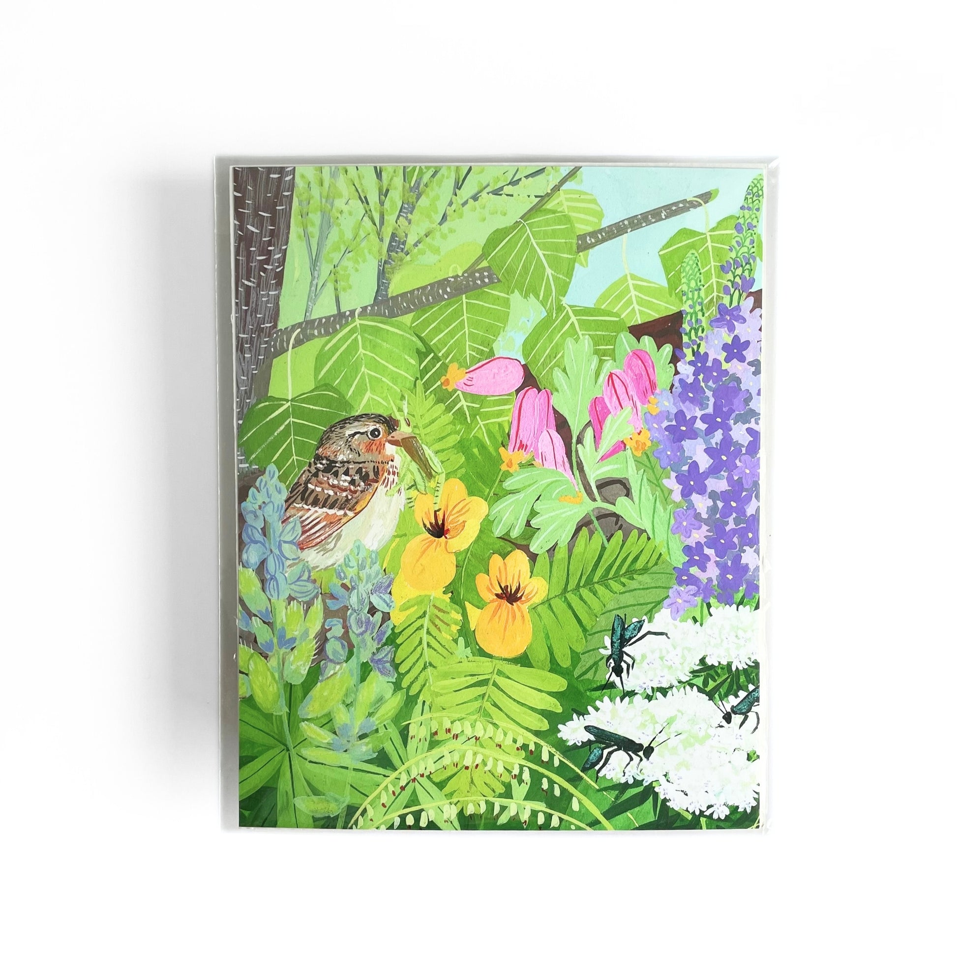 planting wild plum seeds Early Establishers Print – Wild Seed Project