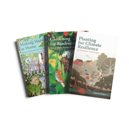Ecological Gardening Trio