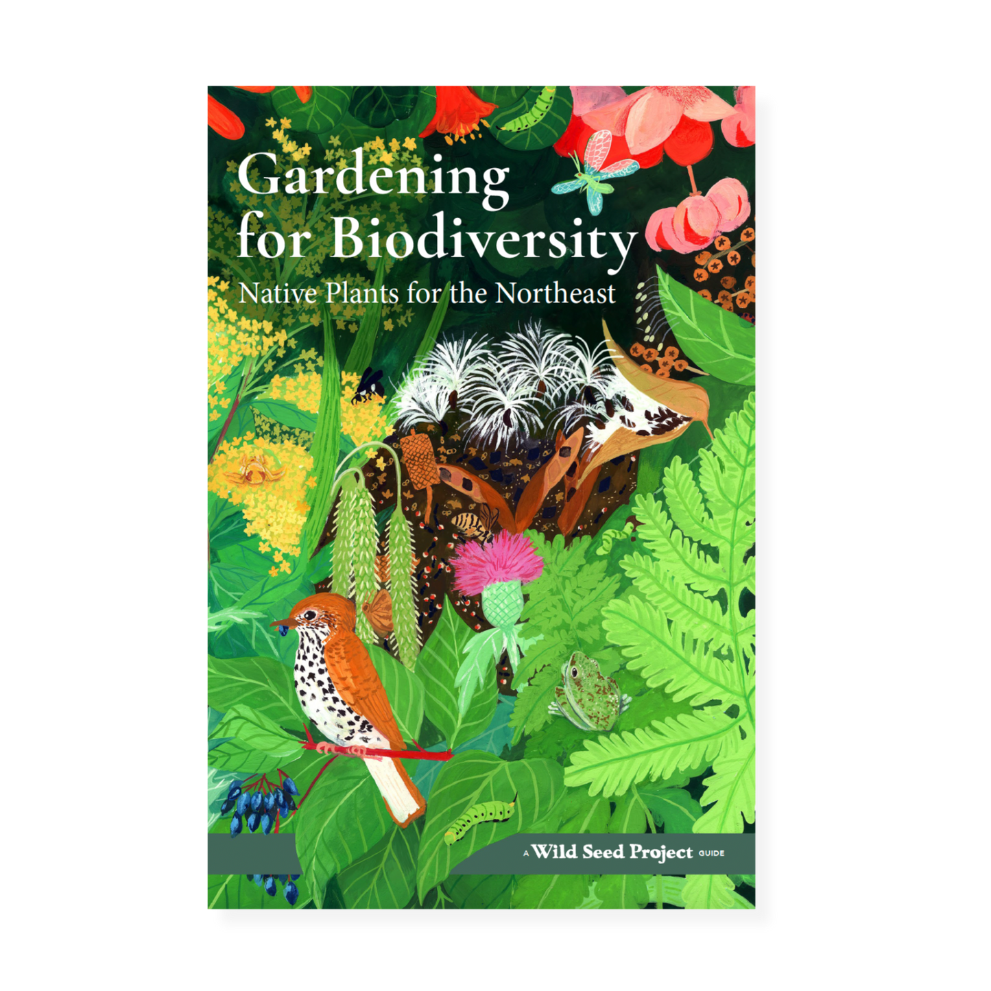 Gardening for Biodiversity: Native Plants for the Northeast