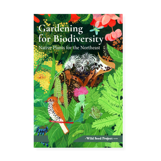 Gardening for Biodiversity: Native Plants for the Northeast