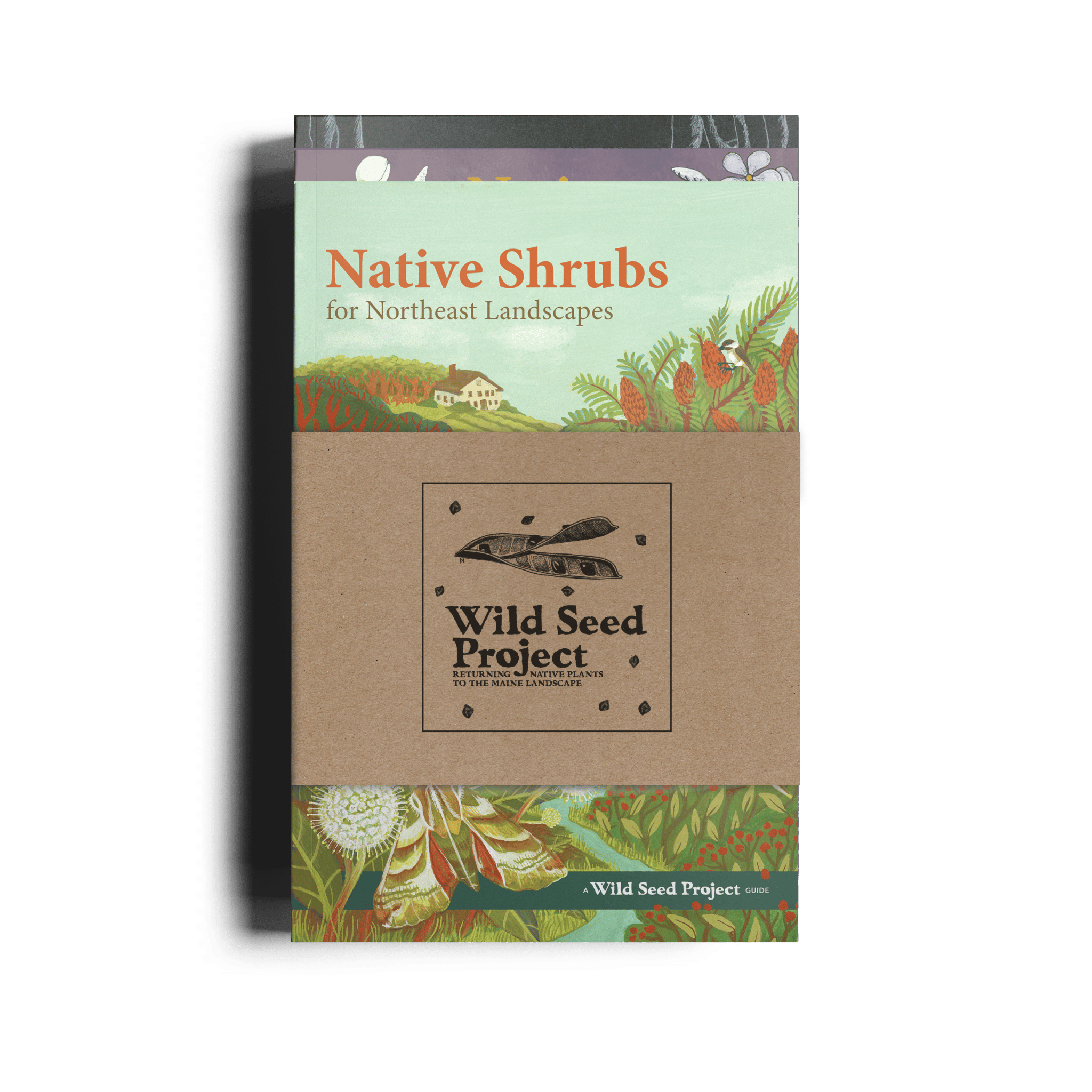Trio Java Seed Gardening with Native Plants Trio – Wild Seed Project