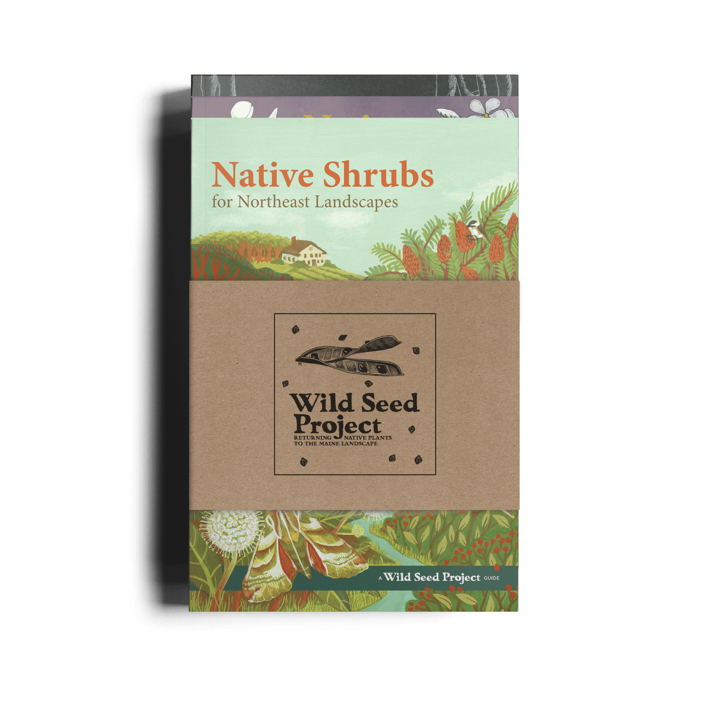 Gardening with Native Plants Trio