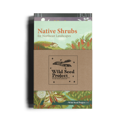 Gardening with Native Plants Trio