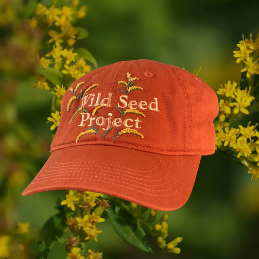 Wild Seed Project Embroidered Hats