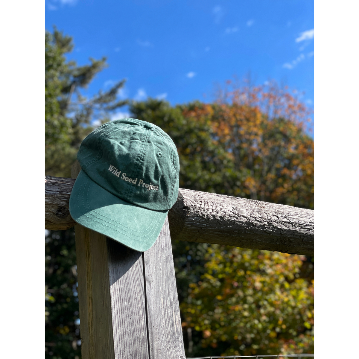 Maple Key Logo Hat