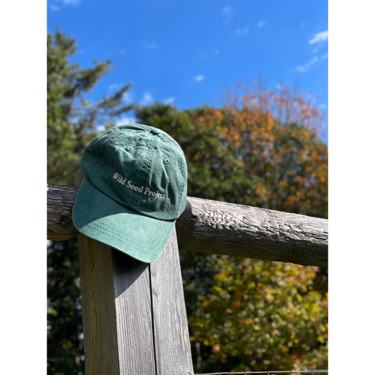 Maple Key Logo Hat