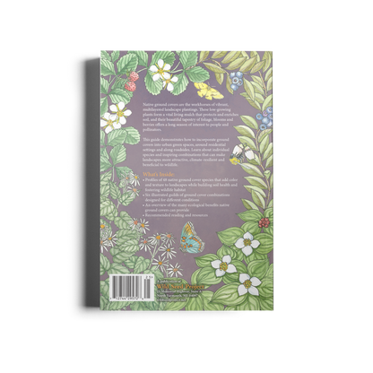 Native Ground Covers for Northeast Landscapes: A Wild Seed Project Guide
