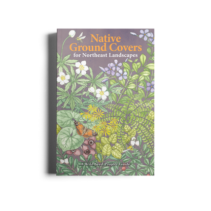 Native Ground Covers for Northeast Landscapes: A Wild Seed Project Guide