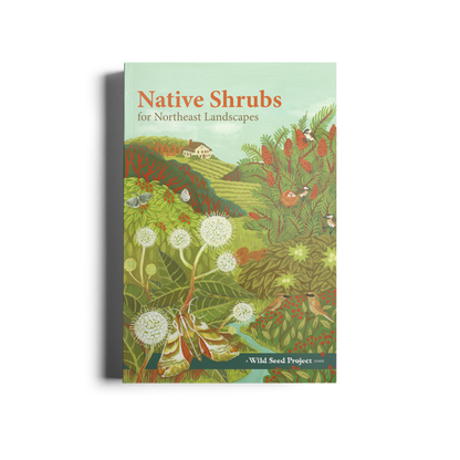 Native Shrubs for Northeast Landscapes: A Wild Seed Project Guide