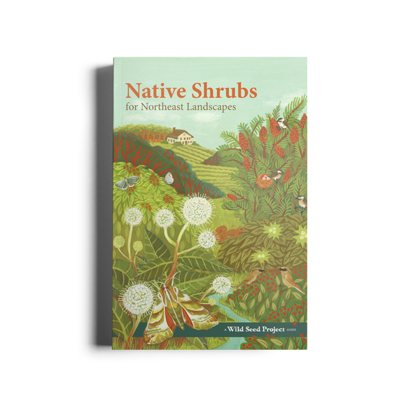 Native Shrubs for Northeast Landscapes: A Wild Seed Project Guide
