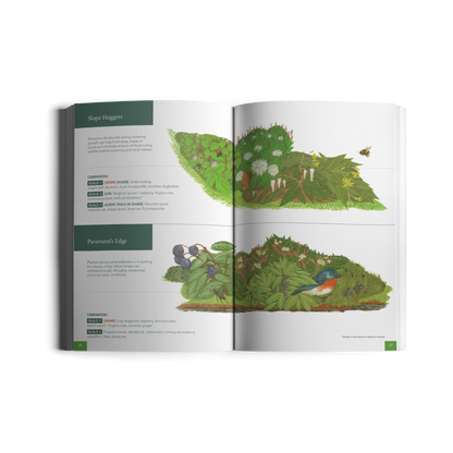 Native Shrubs for Northeast Landscapes: A Wild Seed Project Guide