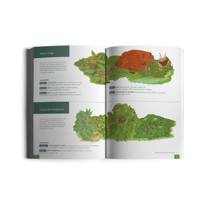 Native Shrubs for Northeast Landscapes: A Wild Seed Project Guide