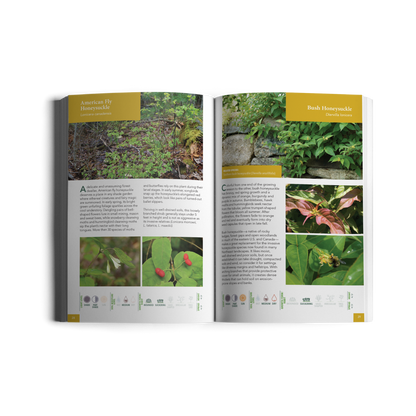 Native Shrubs for Northeast Landscapes: A Wild Seed Project Guide