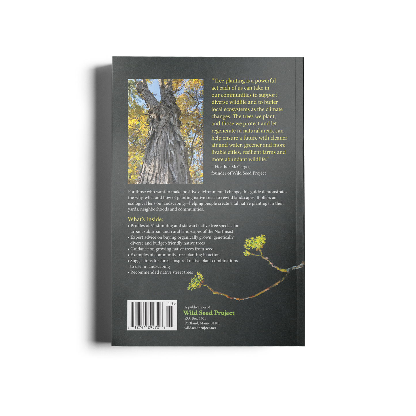 Native Trees for Northeast Landscapes: A Wild Seed Project Guide