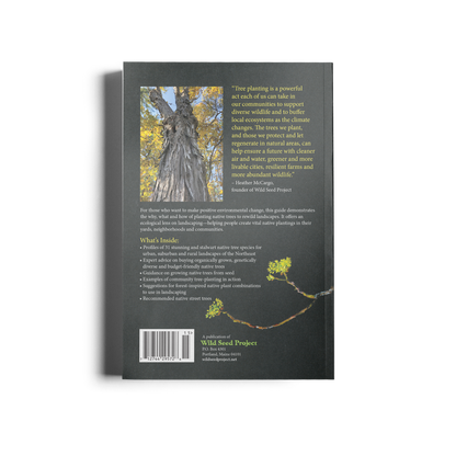 Native Trees for Northeast Landscapes: A Wild Seed Project Guide