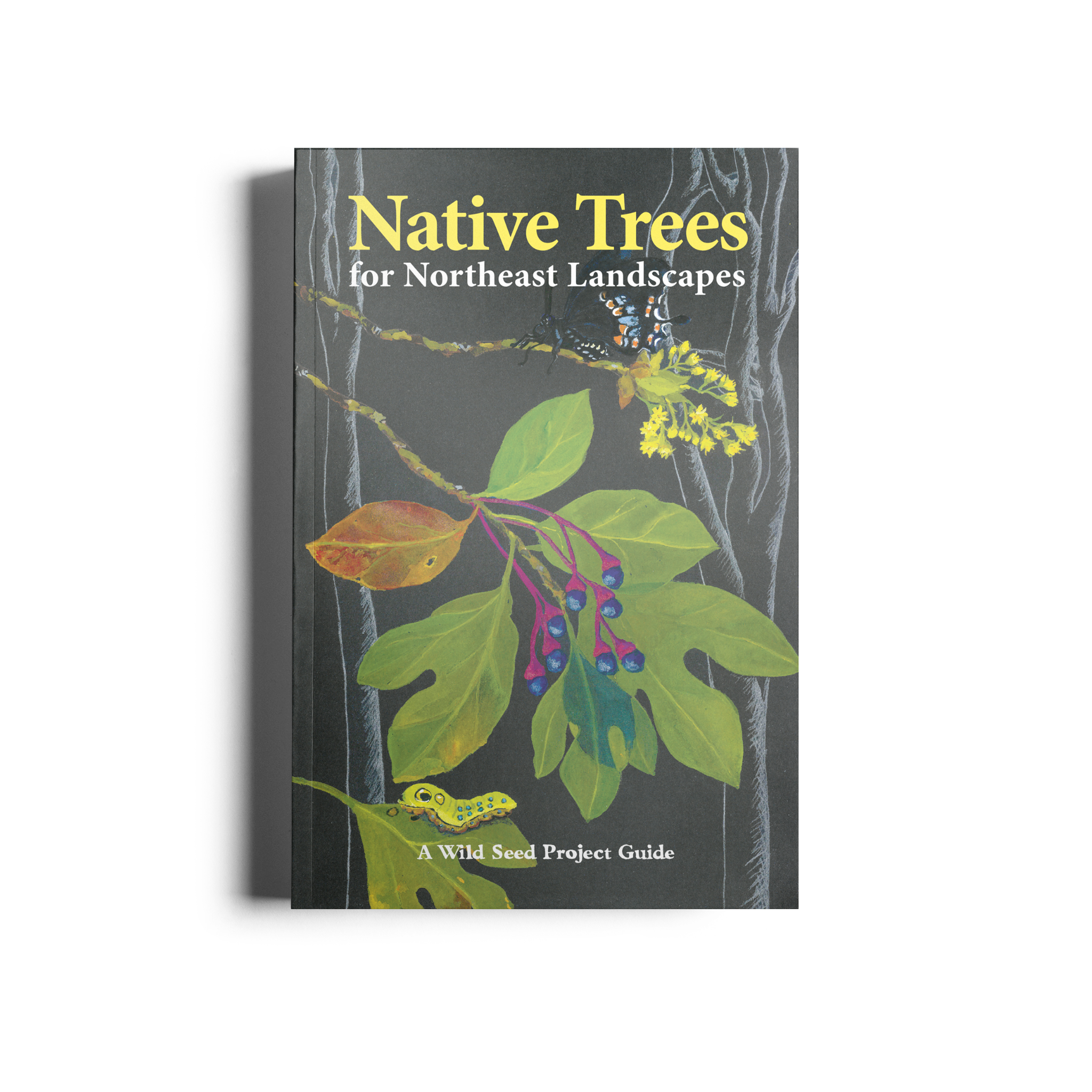 Local Trees Native Trees for Northeast Landscapes: A Wild Seed Project Guide