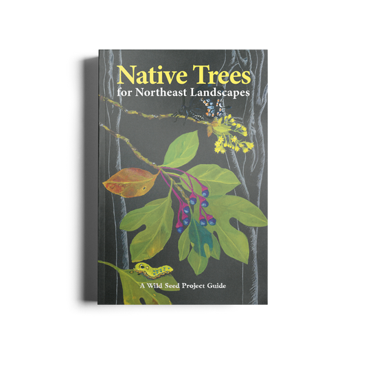 Native Trees for Northeast Landscapes: A Wild Seed Project Guide