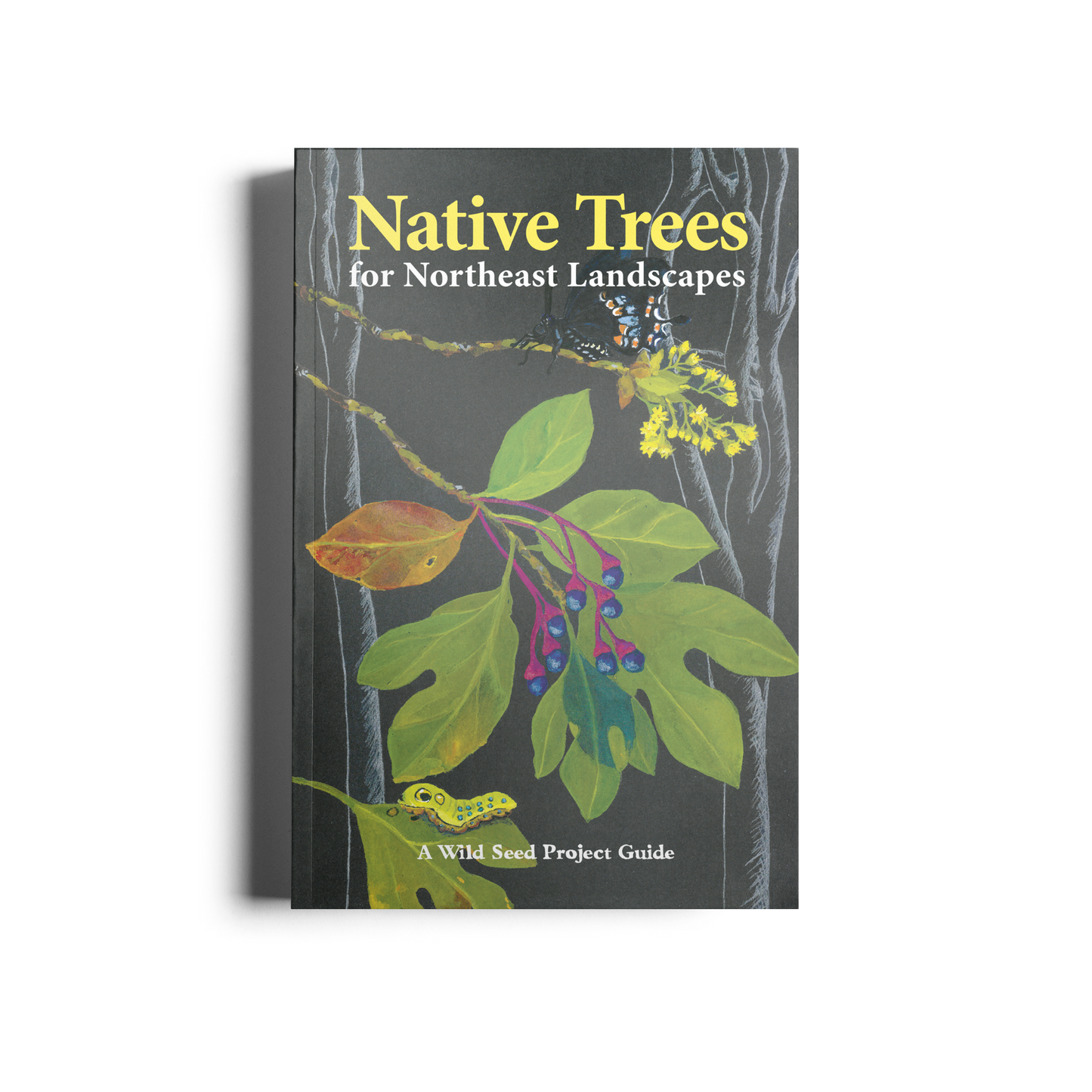Native Trees for Northeast Landscapes: A Wild Seed Project Guide