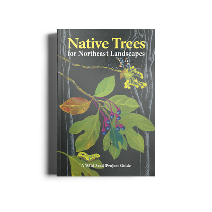 Native Trees for Northeast Landscapes: A Wild Seed Project Guide