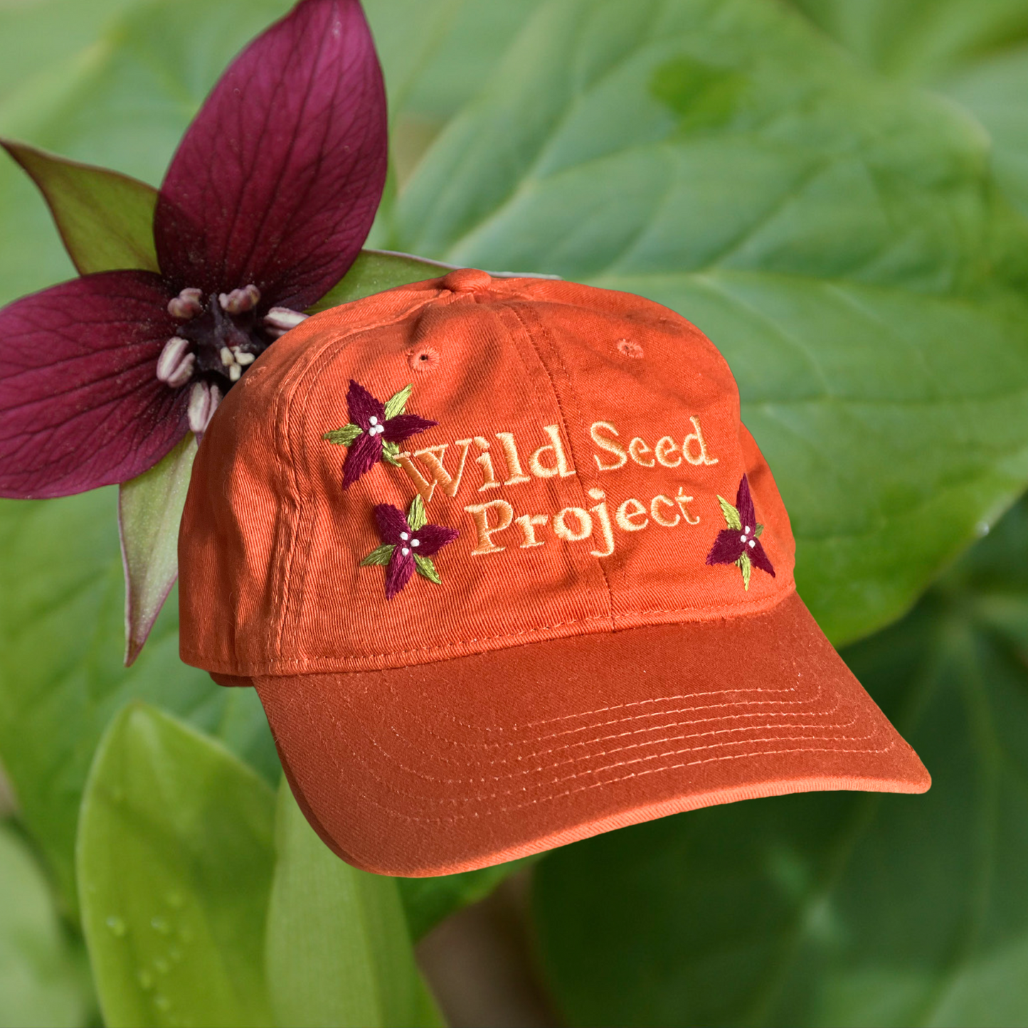 Wild Seed Project Embroidered Hats