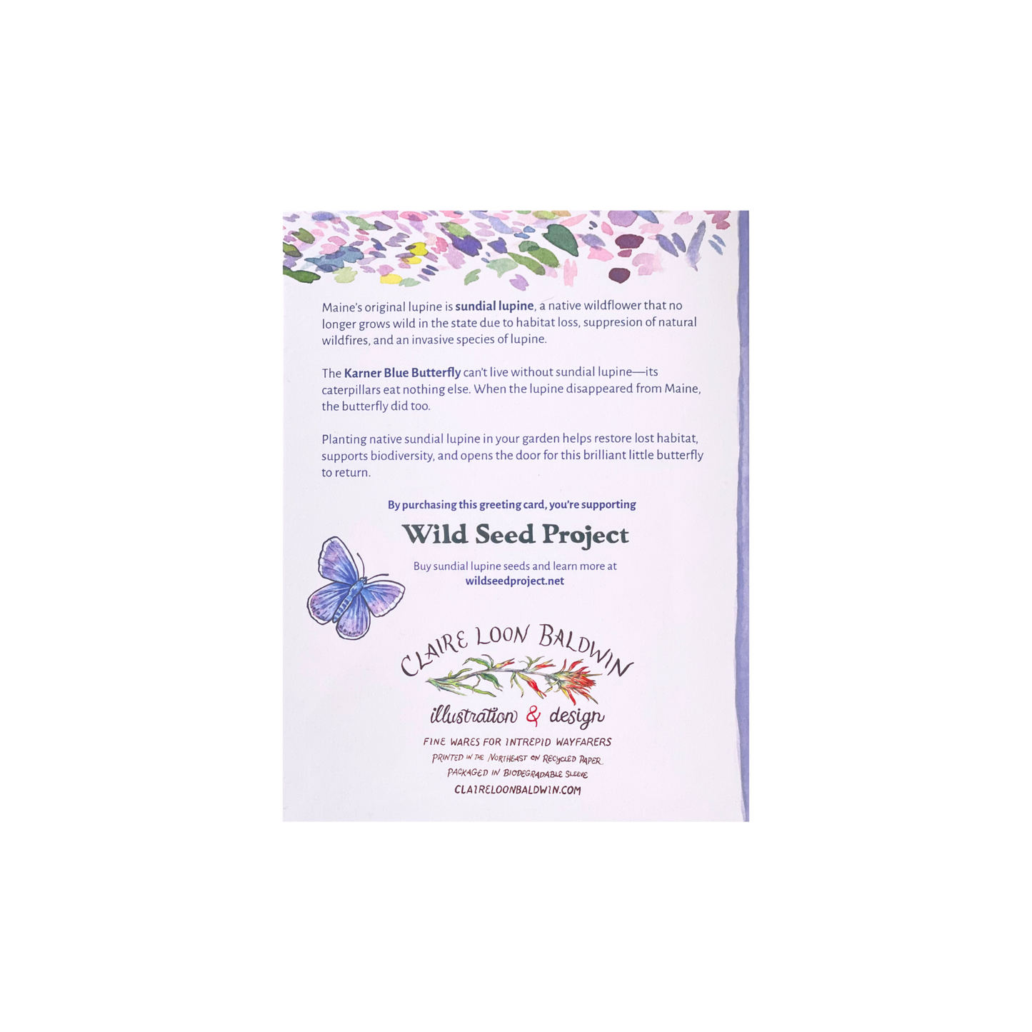 Sundial Lupine Birthday Greeting Card